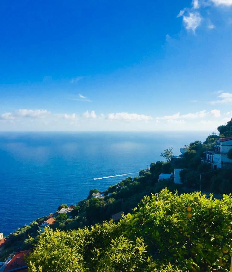 Casa Luisa & Milu , Coastal Retreats In Furore! 외부 사진